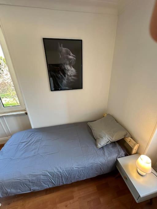 Magnifique Appartement F3. 4 A 6 Personnes Lutterbach Exterior photo