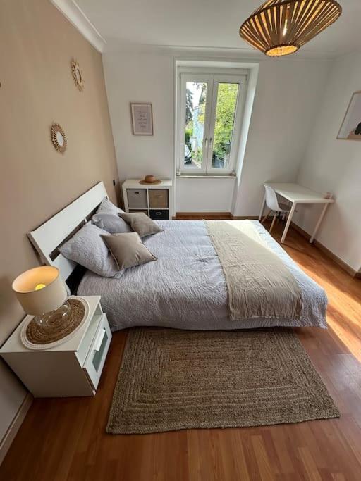 Magnifique Appartement F3. 4 A 6 Personnes Lutterbach Exterior photo